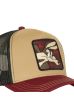 Kšiltovka CAPSLAB Looney Tunes Coyote brown