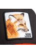 Kšiltovka GOORIN BROS. Fox black