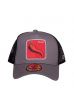 Kšiltovka FREEGUN Salsa Trucker grey